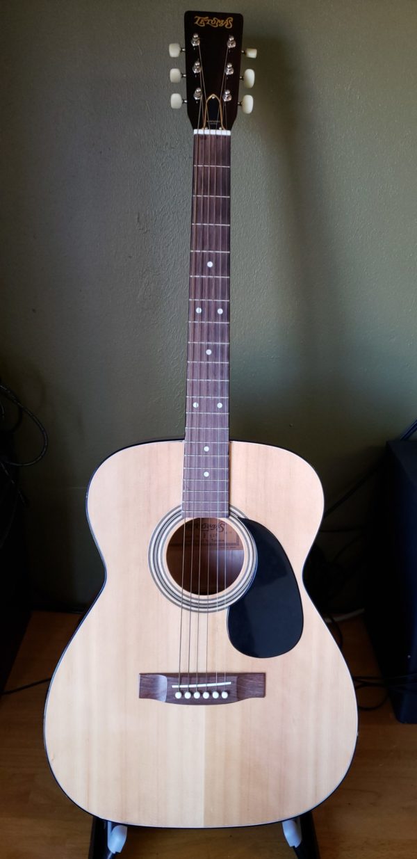 GuitarTetomasF120